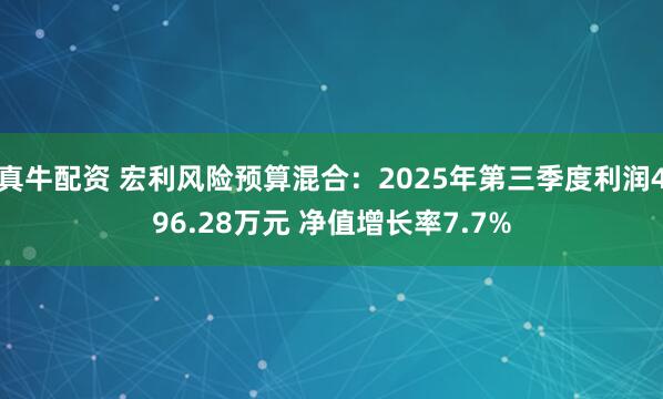 真牛配资 宏利风险预算混合：2025年第三季度利润496.28万元 净值增长率7.7%
