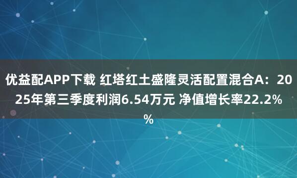 优益配APP下载 红塔红土盛隆灵活配置混合A：2025年第三季度利润6.54万元 净值增长率22.2%