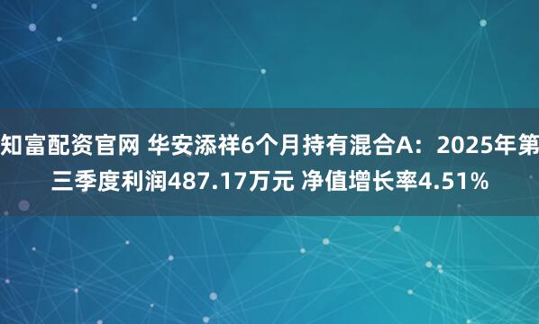 知富配资官网 华安添祥6个月持有混合A：2025年第三季度利润487.17万元 净值增长率4.51%