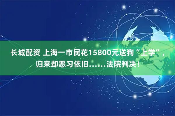 长城配资 上海一市民花15800元送狗“上学”，归来却恶习依旧……法院判决！